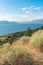 Desert hillside covered in blooming rabbitbrush with Okanagan Lake, mountains, and blue sky