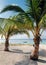 desert island beach palm trees philippines