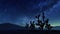 Desert Joshua trees and falling stars in night sky