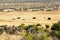 Desert Karoo, Kalahari landscape of South Africa