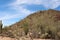 Desert landscape alongside Bajada Loop Drive, a sandy road through the desert of Saguaro National Park in Tucson, Arizona