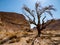 Desert landscape, Arava, Negev, Israel - 1