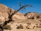 Desert landscape, Arava, Negev, Israel - 2