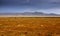 Desert landscape in Arizona