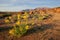 Desert landscape, Brandberg mountain, Namibia