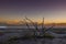 Desert landscape, broken dry soil in a Pampas lagoon,