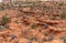 Desert landscape at Chinle Formation