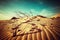 Desert landscape with dead plants in sand dunes under sunny sky