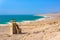 Desert landscape of Dead Sea coastline with white salt, Jordan, Israel.