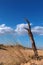 Desert landscape with dead tree