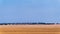 desert landscape - desert under the blue sky and distant highland