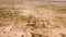 Desert landscape. Dirt road that crosses a desert. Aerial view