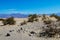 Desert landscape, dunes, mountains in the background