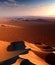 Desert Landscape: Endless Horizons and the Beauty of Arid Isolation