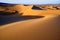 Desert landscape, Gobi desert, Mongolia