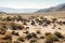 desert landscape, with herds of wild horses roaming freely