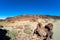 Desert landscape from Las Canadas caldera of Teide volcano. Mirador (viewpoint) Minas de San Jose Sur.