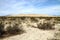 Desert landscape (Mojave desert)