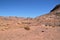 Desert landscape, mountains of red sandstone, a plain covered with rare desert vegetation, a stretch of road with