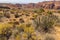 Desert landscape near St. George Utah, USA.