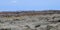 Desert landscape. Panoramic view of the Painted Valley Valle Pintado in the Ischigualasto Park best know as Moon Valley