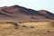 Desert landscape Paracas, Peru