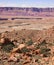 Desert Landscape with Plateau in Background