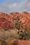 Desert Landscape with Red Rock and Pinyon Pine