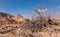 Desert landscape in the remote unexplored region.