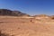 Desert landscape, road, camels