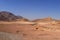 Desert landscape, road, camels