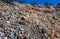 Desert landscape in a rock desert with drought-tolerant cacti, yuccas and agaves in Big Bend NP