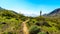 Desert Landscape with Saguaro and Barrel Cacti along the Bajada Hiking Trail in the mountains of South Mountain Park