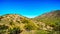 Desert landscape with Saguaro Cacti along the National Trail near the San Juan Trail Head in the mountains of South Mountain Park