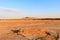 The desert landscape of the salt plains.