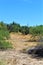 Desert Landscape Scenery located in Cochise County, Saint David, Arizona