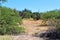 Desert Landscape Scenery located in Cochise County, Saint David, Arizona