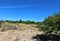 Desert Landscape Scenery located in Cochise County, Saint David, Arizona