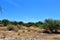 Desert Landscape Scenery located in Cochise County, Saint David, Arizona