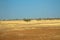 Desert landscape in senegal