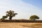 Desert landscape in senegal