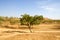 Desert landscape in senegal