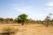 Desert landscape in senegal