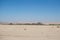 Desert Landscape with Small Settlement near Swakopmund, Namibia