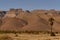 Desert landscape of the Souss Massa region, southern Morocco