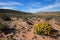 Desert landscape - South Africa