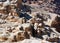 Desert landscape surrounding Petra