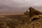 Desert landscape with thunderclouds and sandstorm in Lower Najd, Saudi Arabia