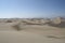 Desert landscape with vast sand dunes in the horizon. Huacachina, Peru.