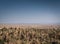 Desert landscape view in garmeh oasis southern iran